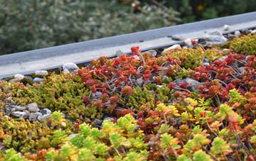 the cost of Discove green roof installation